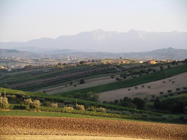 Gallery image 12