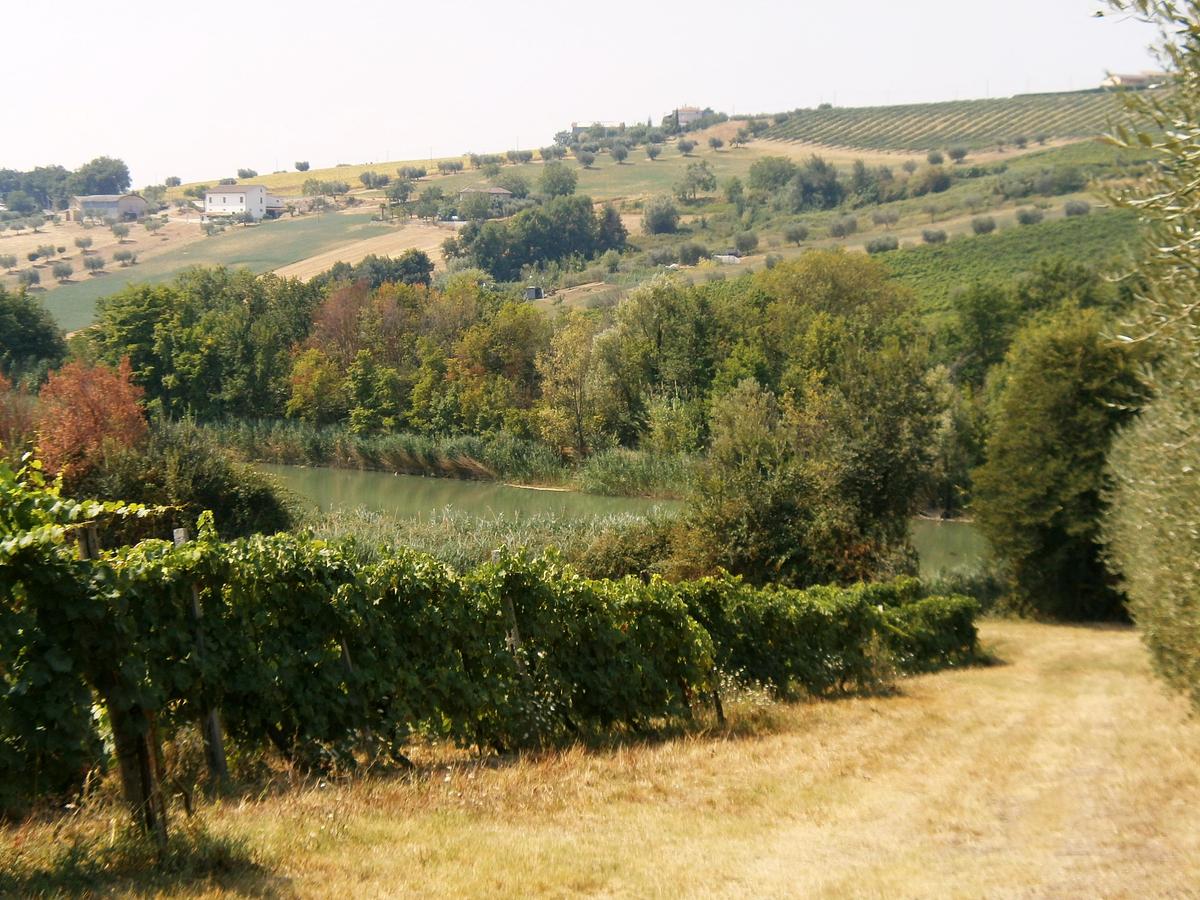 Gallery image 15