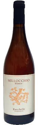 Millocchio Bianco - Master