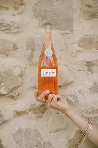 Cinino - Master