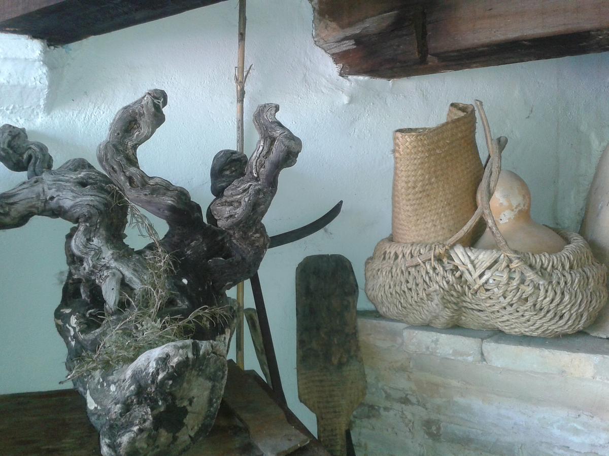 Gallery image 21
