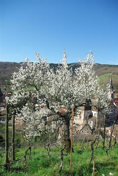 Gallery image 13