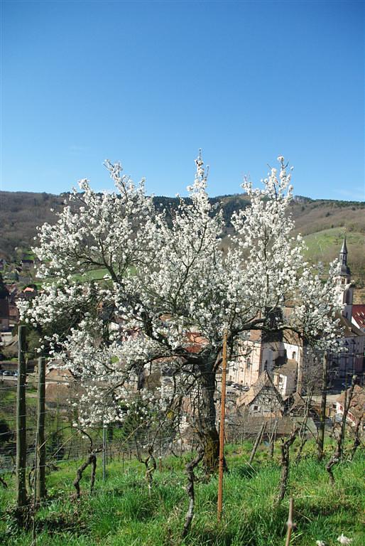 Gallery image 13