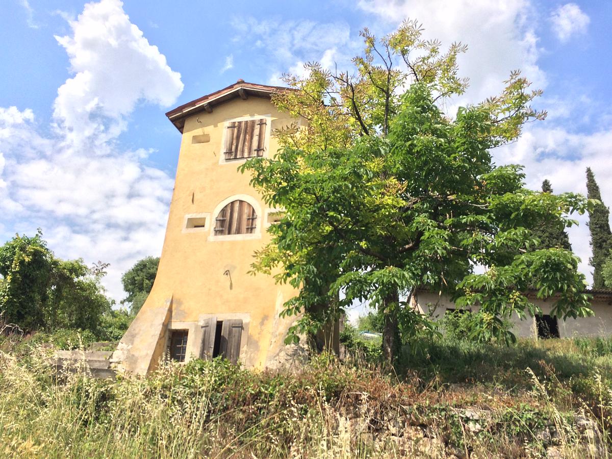 Gallery image 21