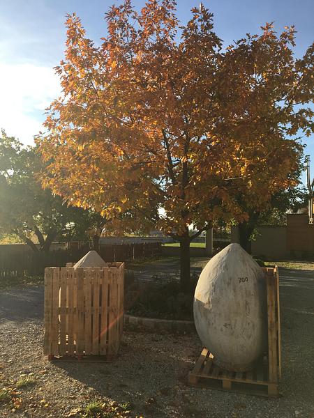 Gallery image 14
