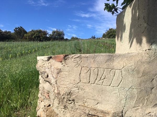 Gallery image 13