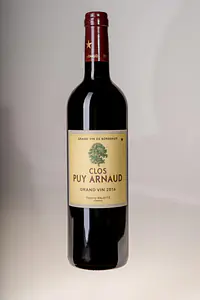 Clos Puy Arnaud Grand Vin - Master