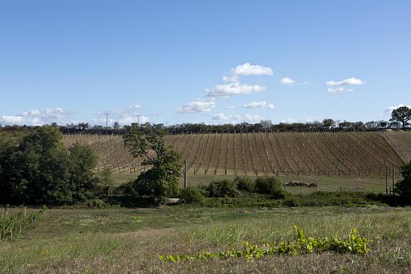 Gallery image 9
