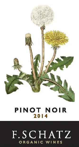 Pinot Noir - Master