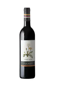 Pinot Noir - Master