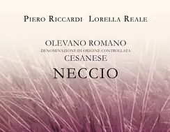 Neccio - Master