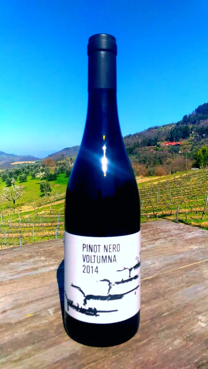 PINOT NERO - Master