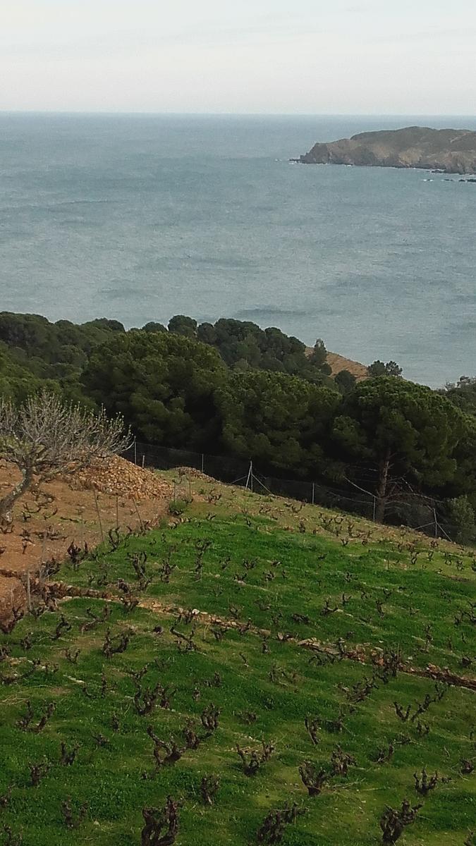 Gallery image 17