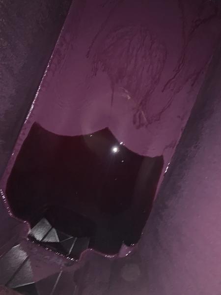 Gallery image 11