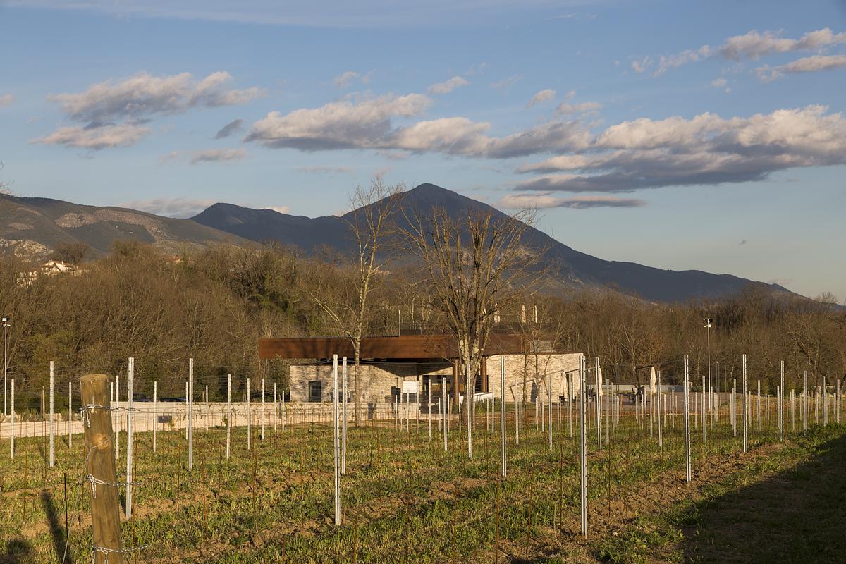 Gallery image 70