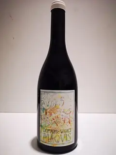 MAQUIS - Master