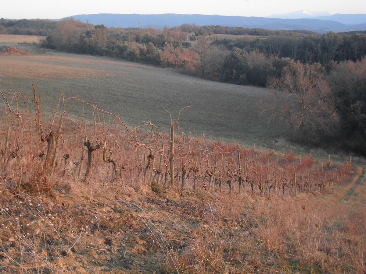 Gallery image 6