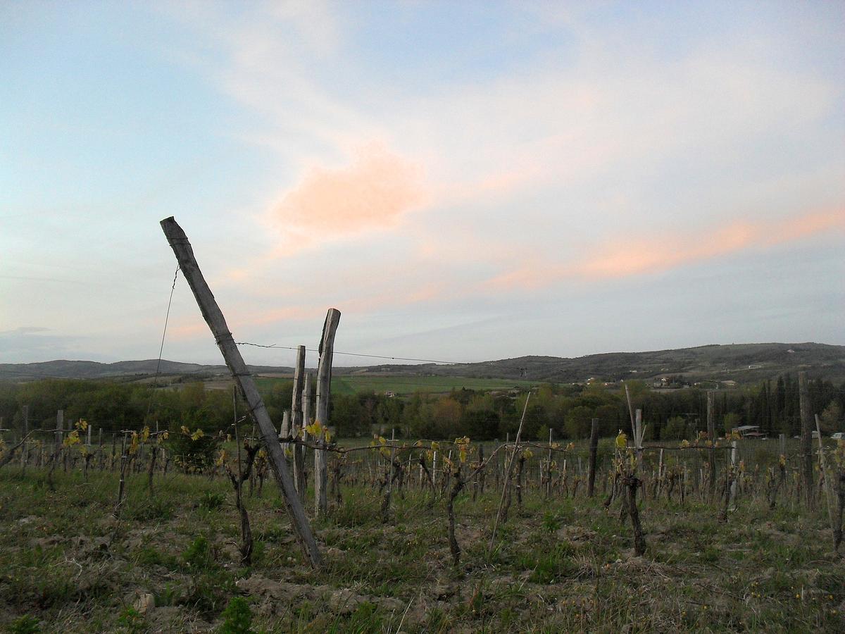 Gallery image 11