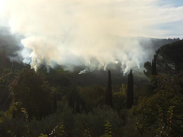 Gallery image 9