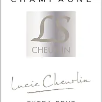 Lucie Cheurlin - Master