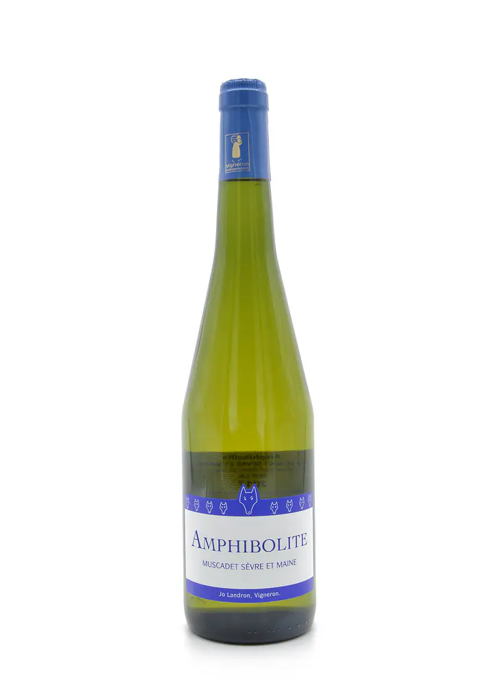 AMPHIBOLITE - Master