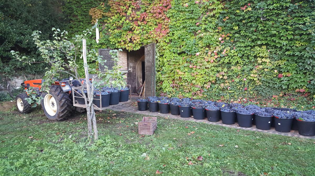 Gallery image 5