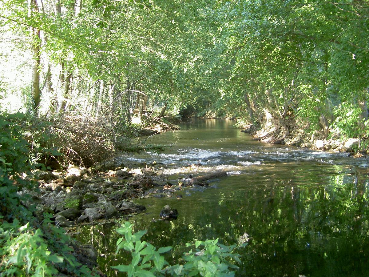 Gallery image 8