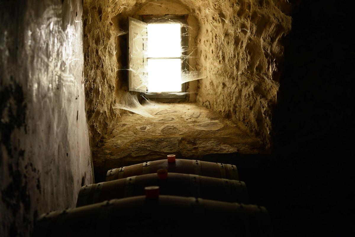 Gallery image 7