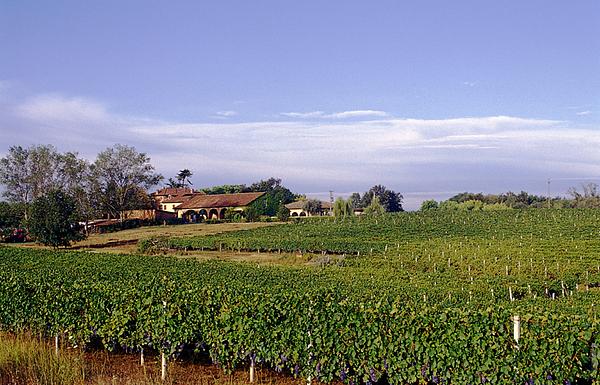 Gallery image 1