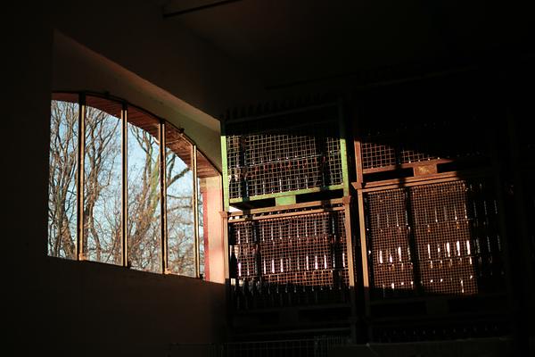Gallery image 3