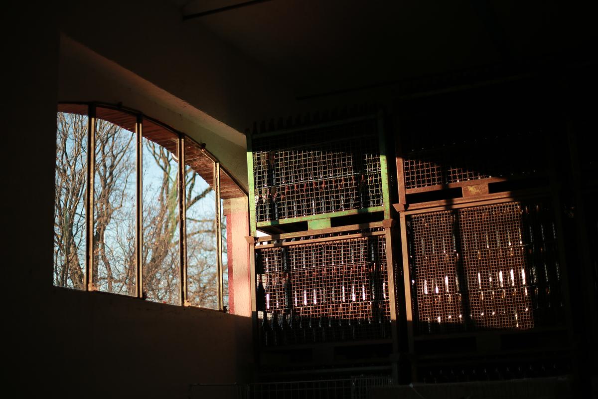 Gallery image 3