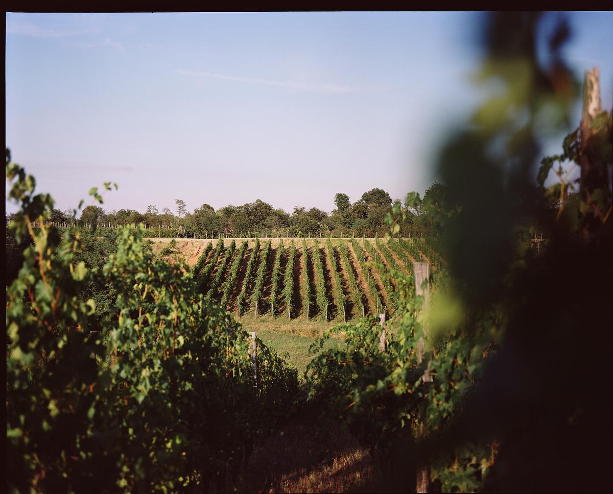 Gallery image 4