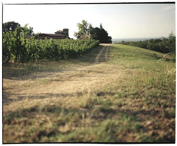 Gallery image 10