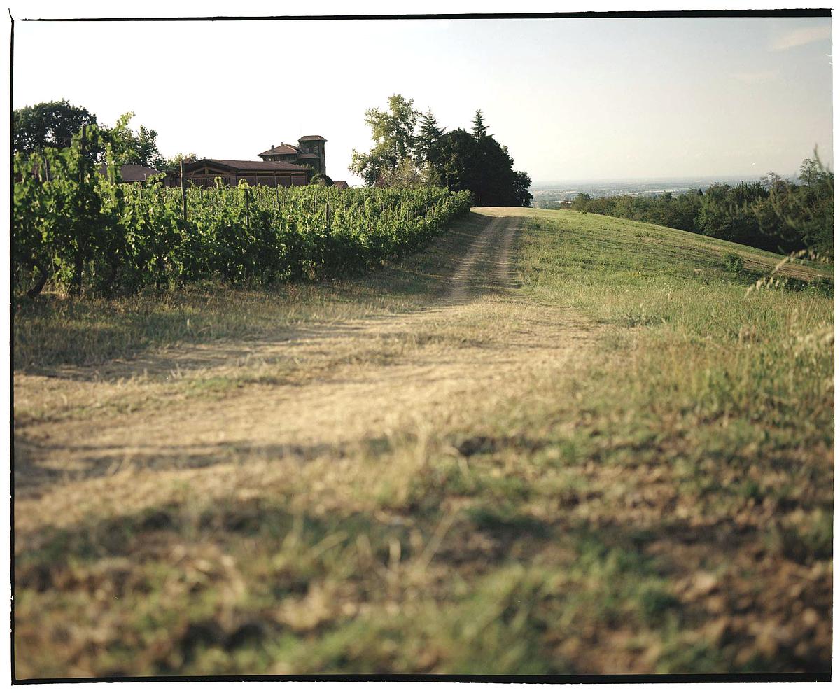 Gallery image 10