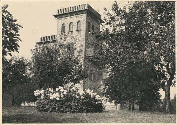 Gallery image 11