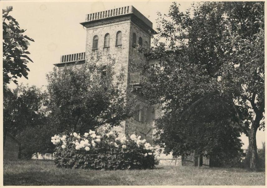 Gallery image 11