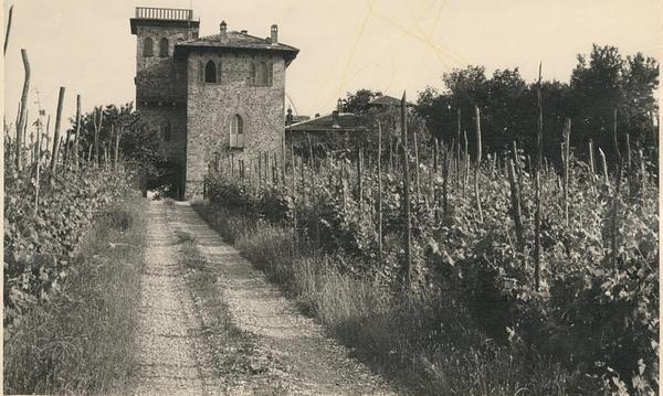Gallery image 12