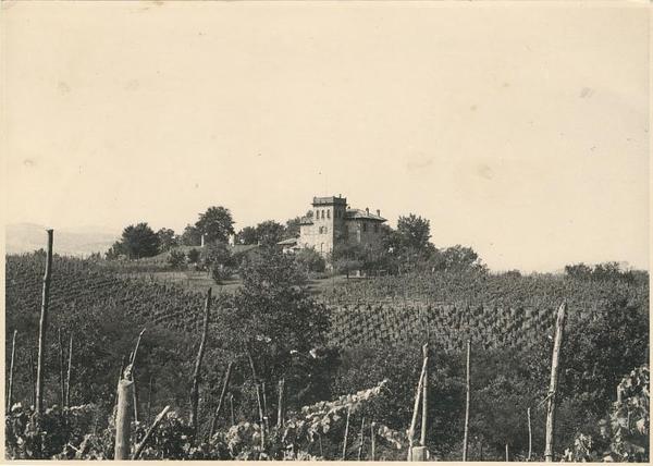 Gallery image 14