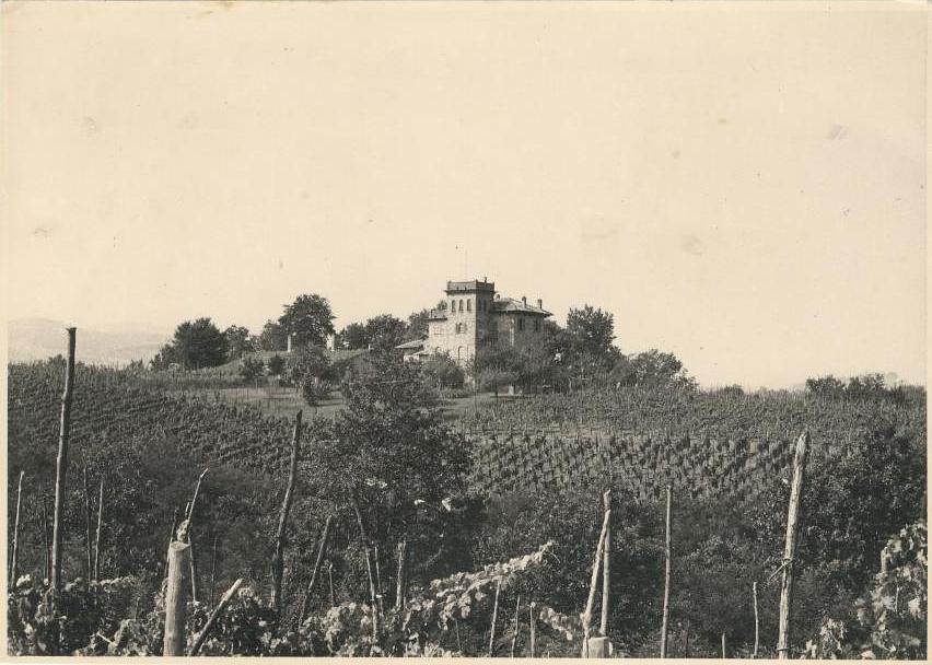 Gallery image 14