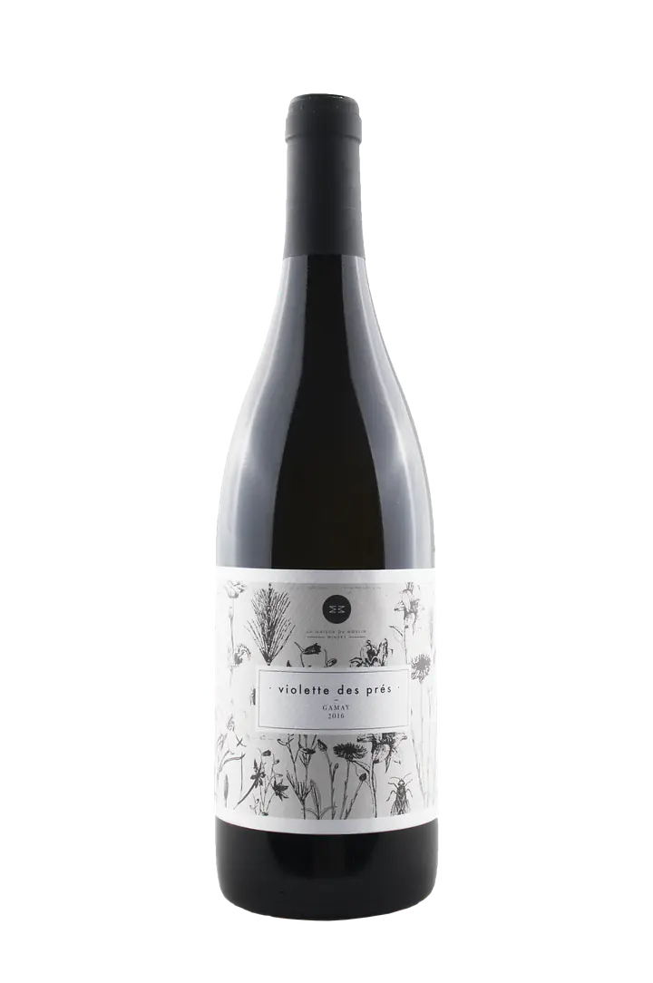 Violette des Prés - Master