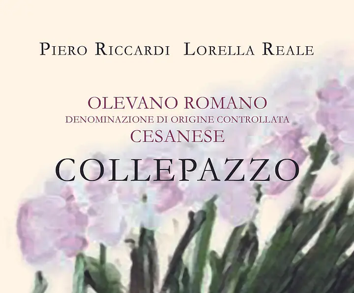 Collepazzo - Master