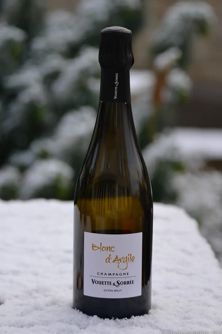 Blanc d'Argile - Master