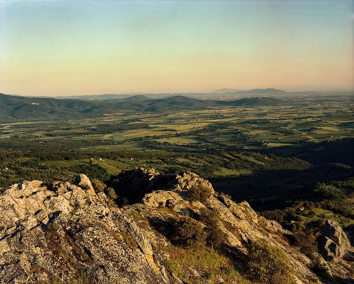 Gallery image 17