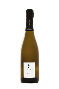 ADN MONTGUEUX 2009 - Master