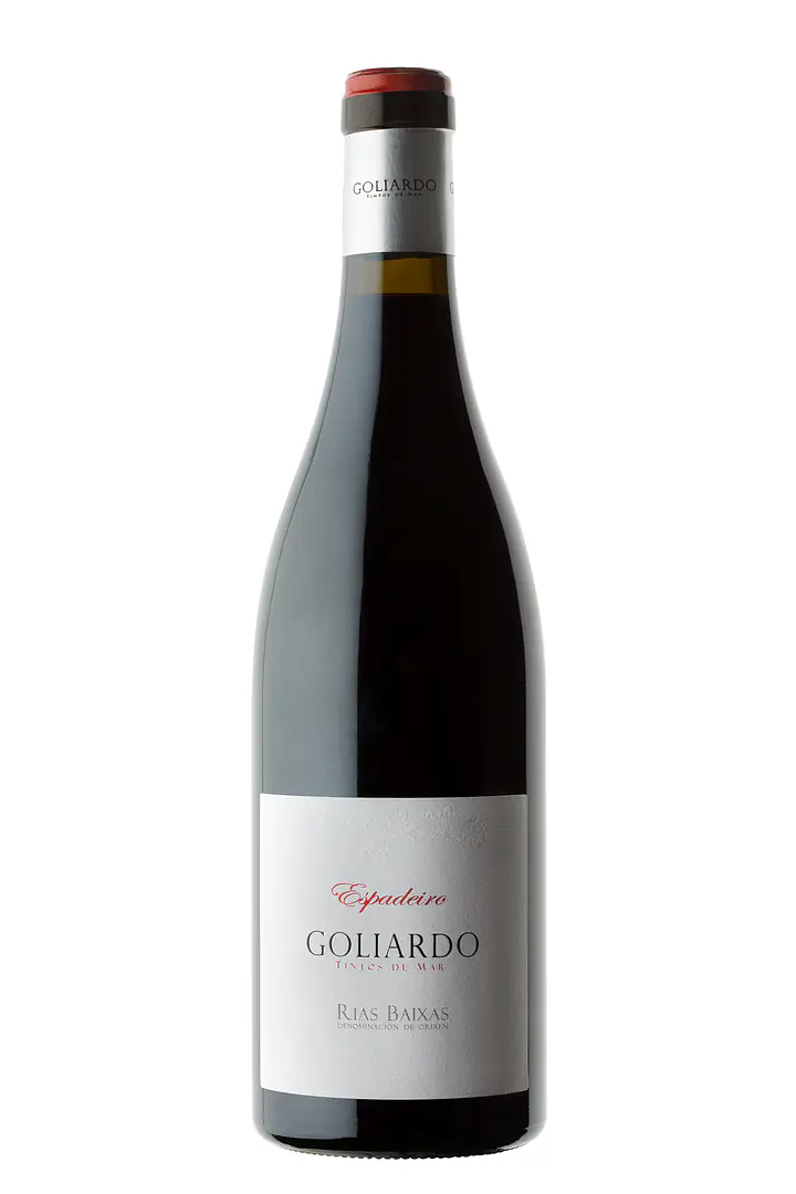 Goliardo Espadeiro - Master