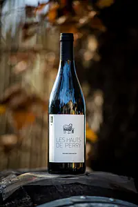 Les Hauts de Perry - Master
