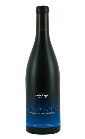 Gamayhameha - Master