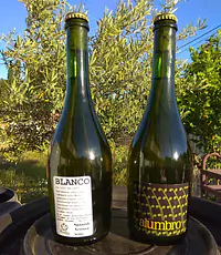 Alumbro Blanco 2019 - Master