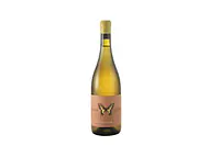 MACHAON Pecorino Colli Aprutini IGP Anfora - Master