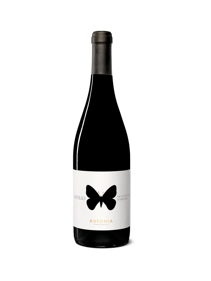 Apollo Montepulciano d'Abruzzo Colline Teramane - Master